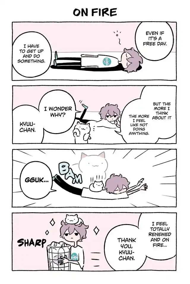 Wonder Cat Kyuu-chan Chapter 322 1